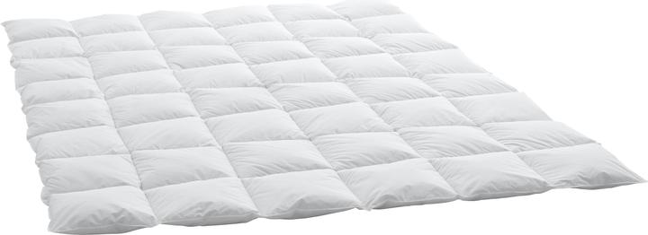 Actual product image Swiss Dream by billerbeck CLC 90 Cassette Medium (650 g, 160 x 210 cm)