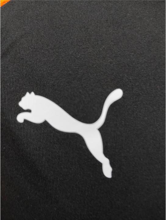 Actual product image Puma IndividualLIGAJersey Jr (164)