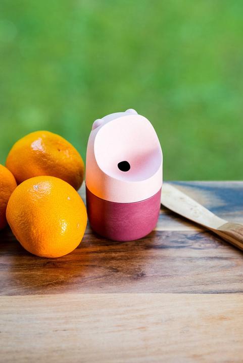 Actual product image Happy Sinks KONNA Fruit Fly Trap