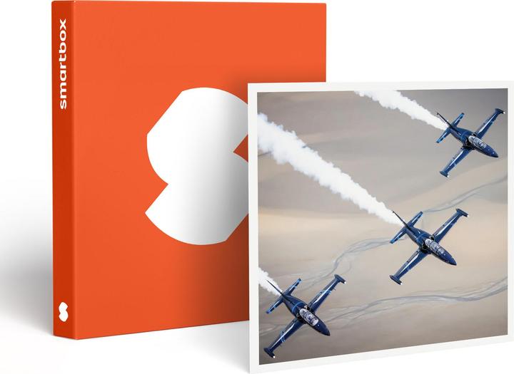 Actual product image Smartbox Vol de 45 min en avion de chasse L-39 Albatros au-dessus des Alpes suisses (1 Person)