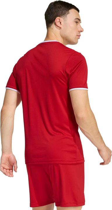 Actual product image Adidas Entrada T-Shirt (XL)