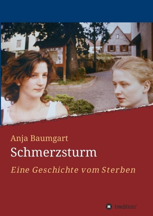 Produktbild Schmerzsturm (Deutsch, Anja Baumgart, 2018)