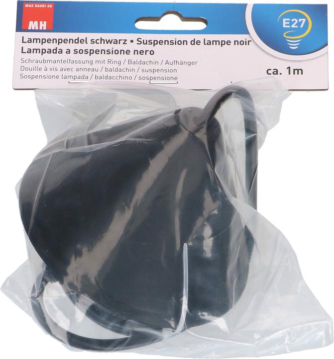 Produktbild Max Hauri Lampenpendel E27