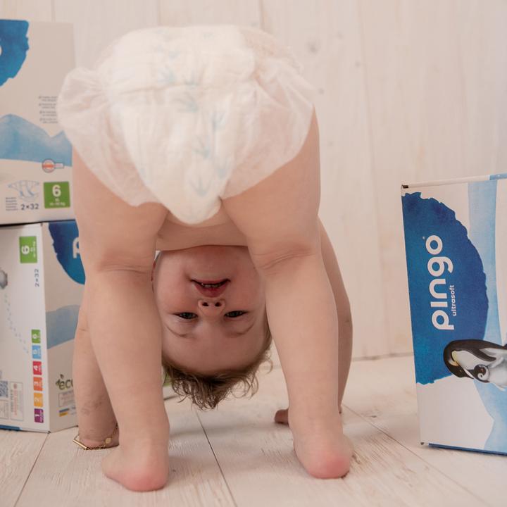 Produktbild Pingo Pants (Gr. 6, Monatsbox, 156 Stück)
