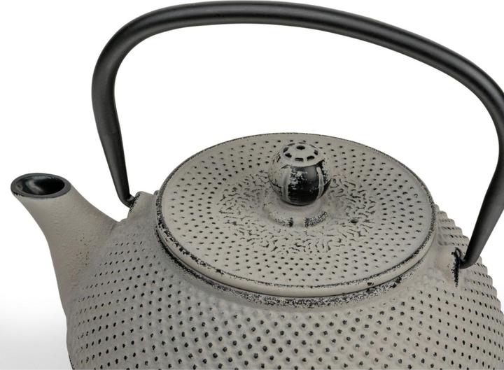 Image du produit Bredemeijer Teekanne Jang 0,8l Gusseisen grau + Filter 153022 (0.80 l)