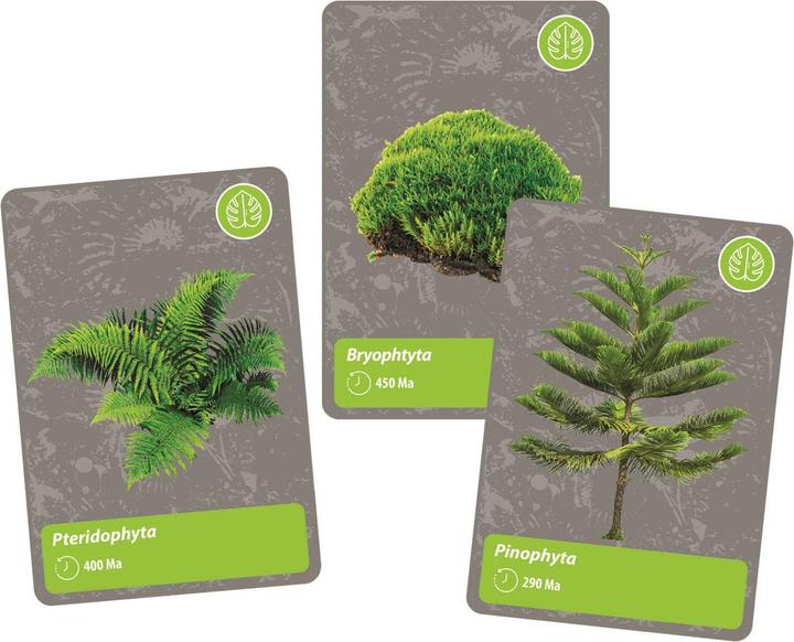 Actual product image Clementoni Histoire de la vie sur la terre FR