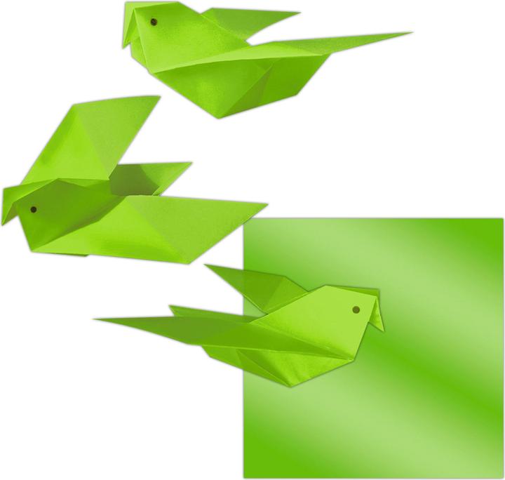 Actual product image Ursus Transparent paper folders, 14 x 14 cm (42 g/m², 100 x)