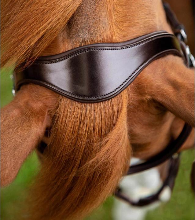 Actual product image Premier Equine snaffle bridle glorioso