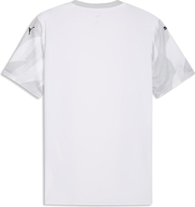 Produktbild Puma teamFINAL Graphic+ Jersey (M)