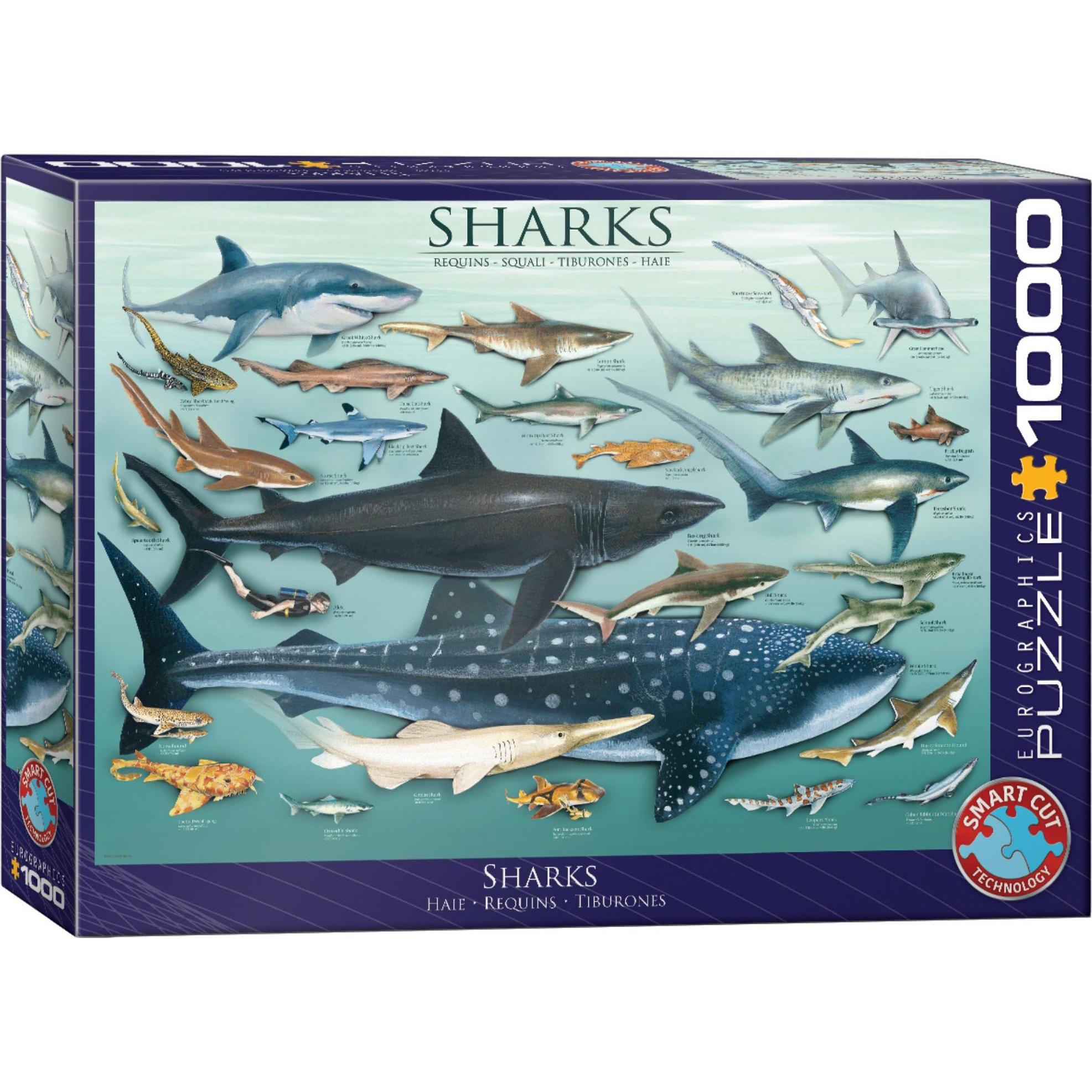 Eurographics Haie (1000 Teile)
