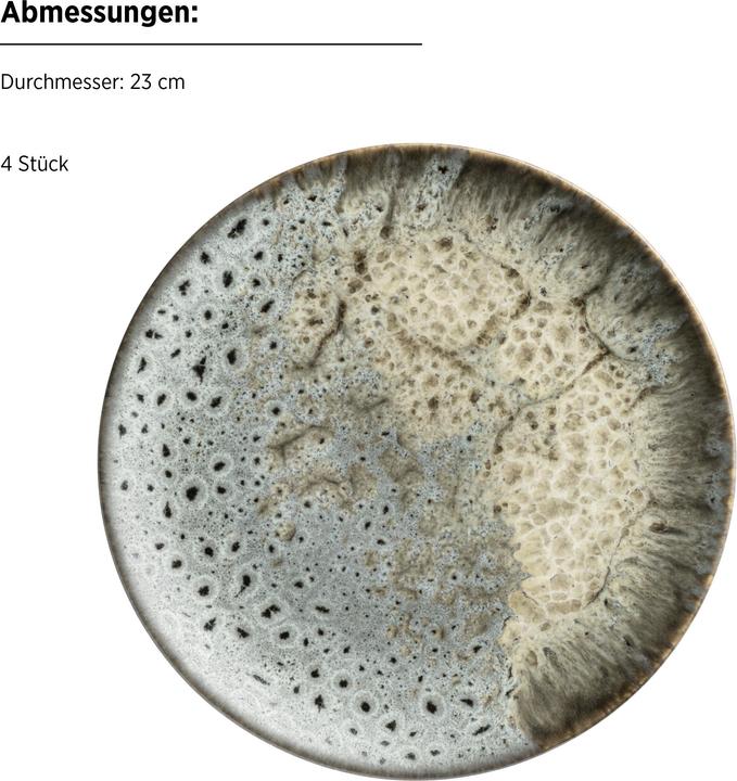 Produktbild Mäser Carellia (12 Stk.)