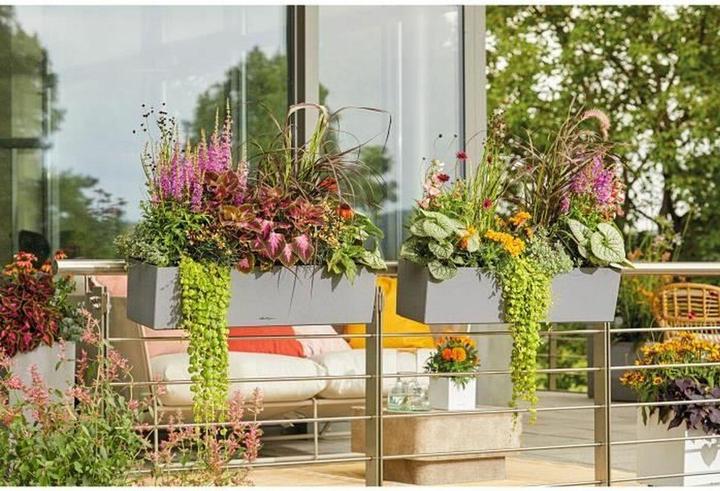 Produktbild Lechuza Balconera Stone (79 x 19 x 19 cm)