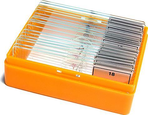 Actual product image Levenhuk N18 NG Slide Set