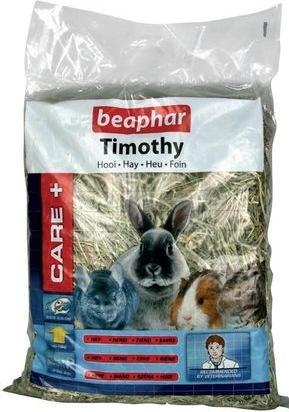 Rodent food + Treats