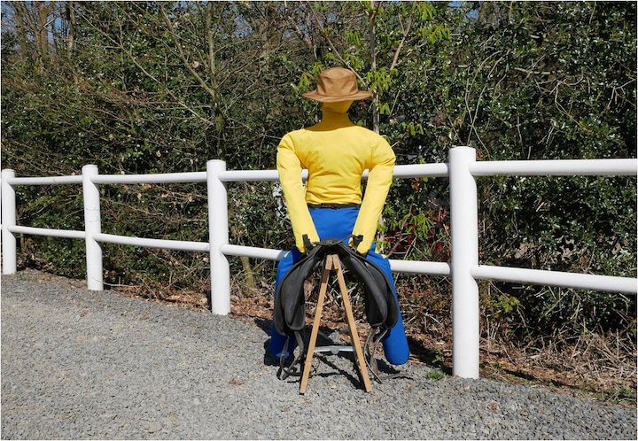 Actual product image Dönges Horse riding dummy Pferdinand