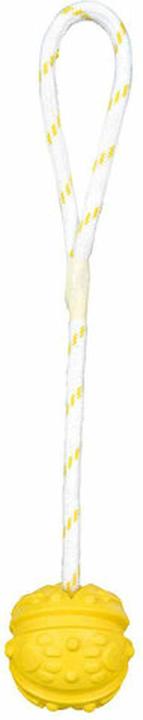Actual product image Trixie Ball on rope (Retrieval, Dog chew toy)