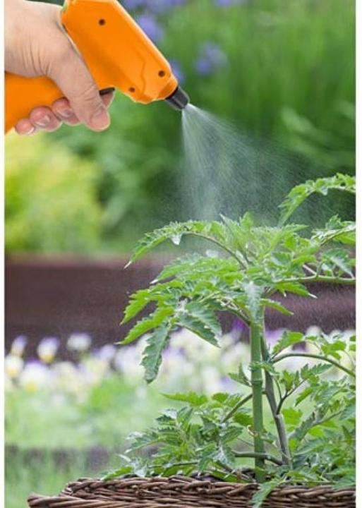 Produktbild Garden Lights Drucksprüher - Akkubetrieben - 1 L (1 l)