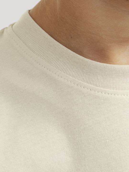 Image du produit Jack & Jones Jjebrandes Backp Relaxed Tee Ss Sn Jnr (128)