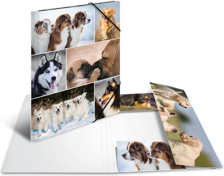 Produktbild HERMA Sammelmappe A4 Motiv (A4, 1x)