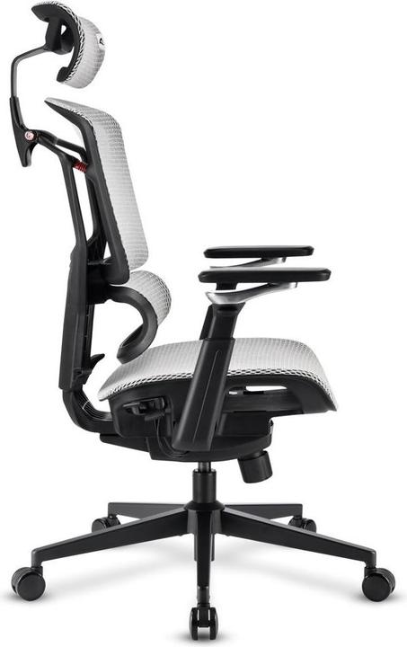 Actual product image Sharkoon OfficePal C50M