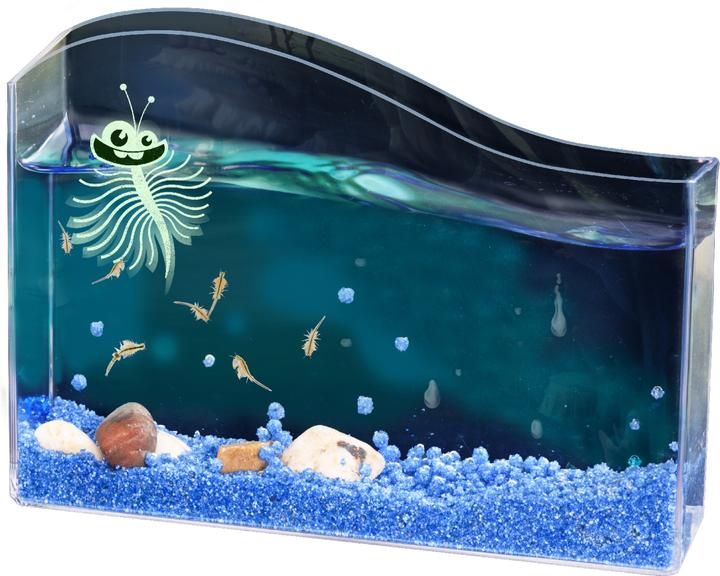 Actual product image Kosmos Fun Science Scurrying brine shrimp - INT