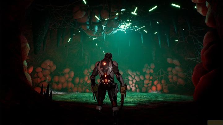 Actual product image Dolmen Day One Edition (PS4) (PS4, DE)