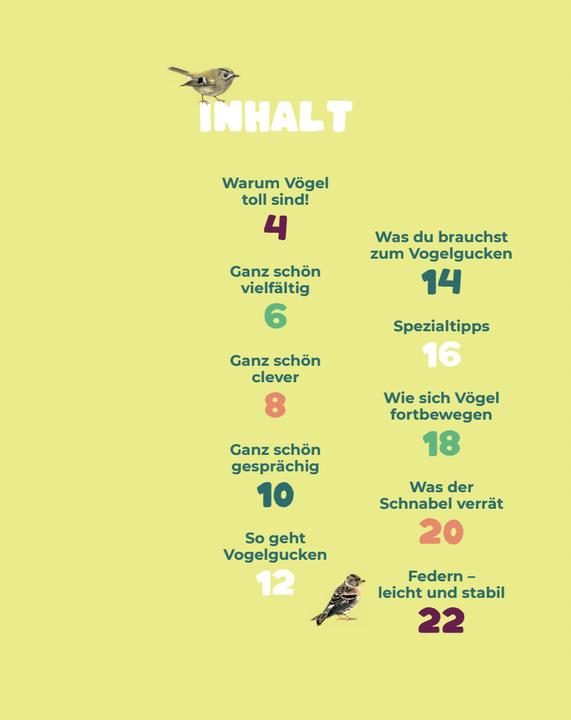 Produktbild Birding - Entdecke die Wunderwelt der Vgel (Deutsch, Silke Hartmann, 2024)