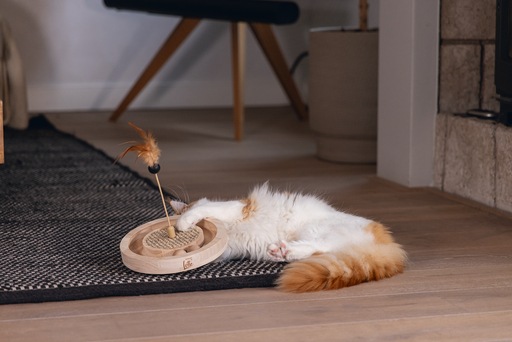 Immagine prodotto Designed by Lotte Winni (Catmint giocattolo)