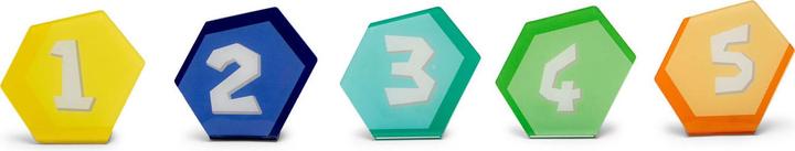 Actual product image BS Target shooting