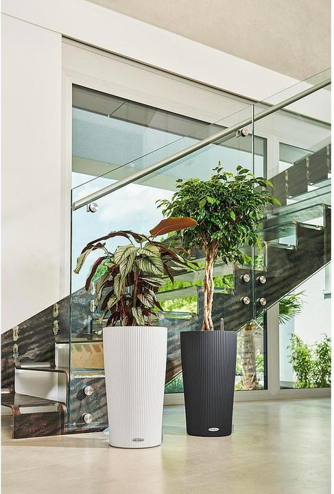 Actual product image Lechuza Cilinro Color 23 (23 cm)