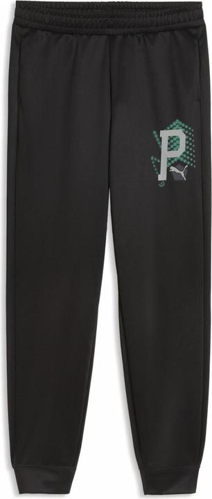 Actual product image Puma ACTIVE SPORTS Poly Pants B (128)