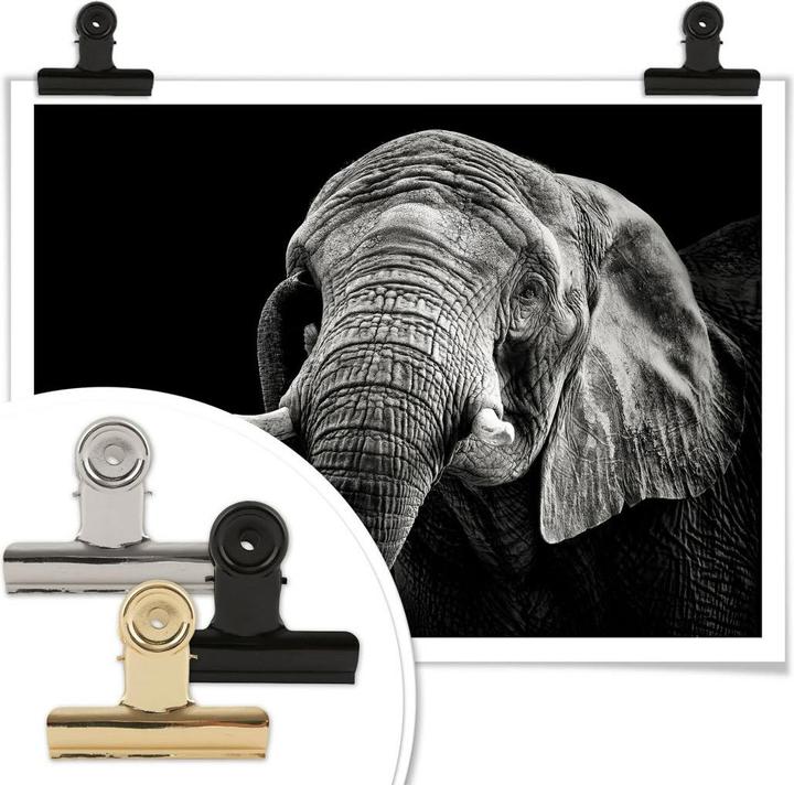 Image du produit Trenddeko L'éléphant (40 x 30 cm)