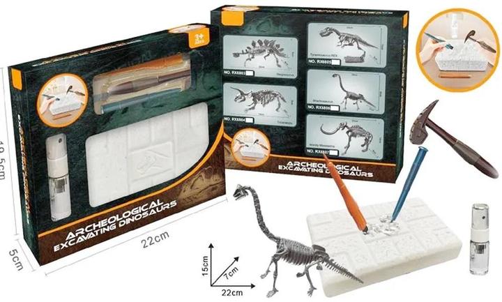 Actual product image Swede Dinosaurier-Ausgrabungen Brachiosaurus-Skelett