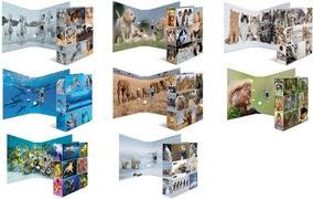 Actual product image HERMA A4 folder motif (A4, 70 mm, 1 Piece)