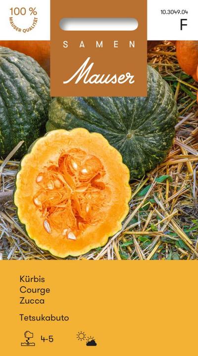 Image du produit Samen Mauser Kürbis Tetsukabuto (Graines de légumes)