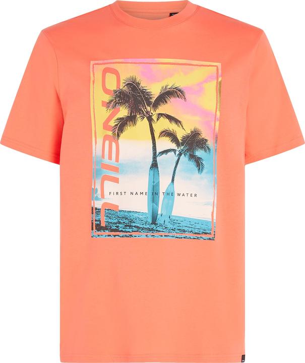 Immagine prodotto O'Neill T-Shirt Jack Neon (L)