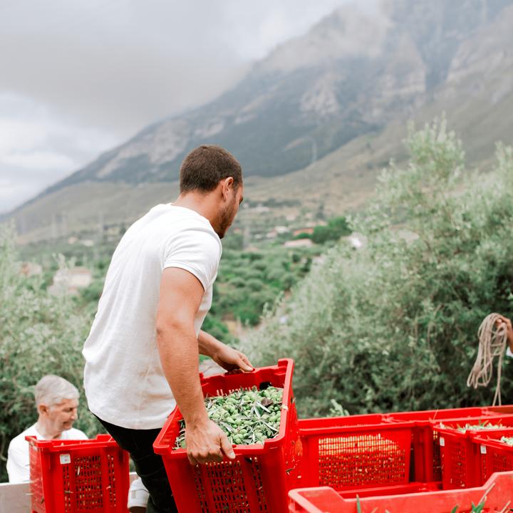 Actual product image Ólixir Organic extra virgin olive oil (50 cl)