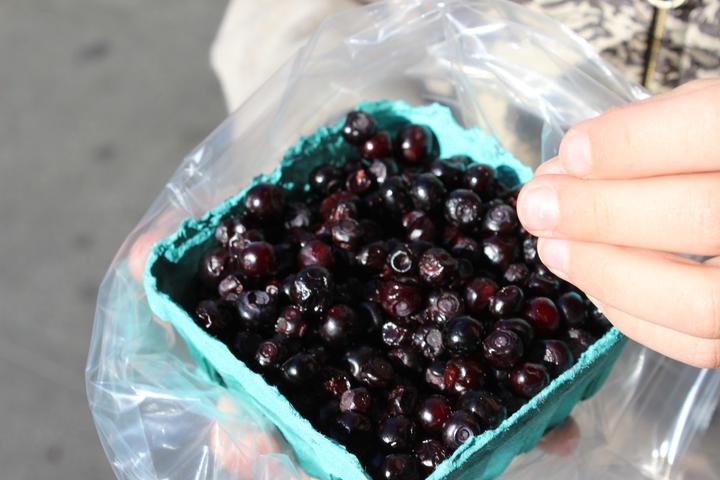 Produktbild Lubera Heidelbeere Huckleberry Pacific Spear