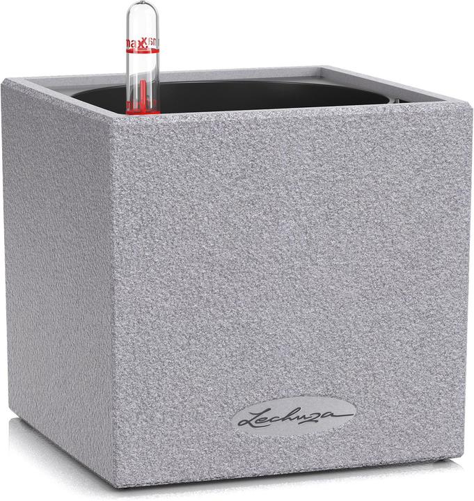 Lechuza Canto Stone 14 (14 cm)