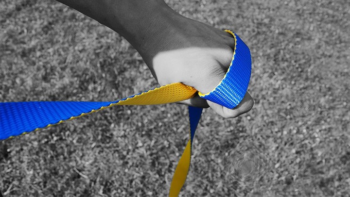 Flow Line (25 m)