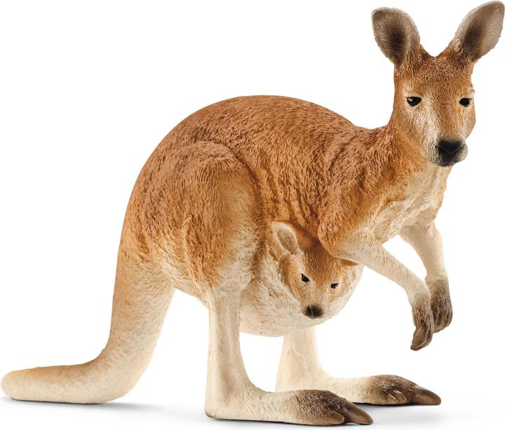 Schleich Kangourou
