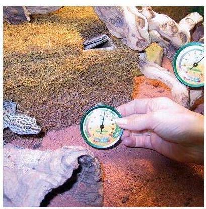 Produktbild JBL Aquaristik und Terraristik Thermometer