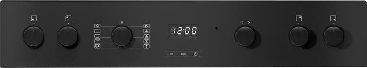 Produktbild Miele H 2455 I ACTIVE