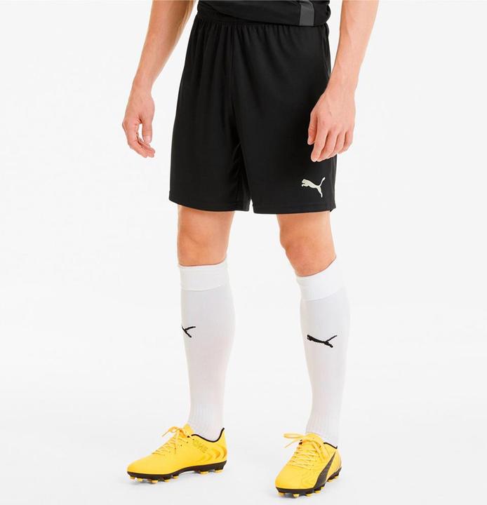 Produktbild Puma Teamgoal 23 Shorts (56)
