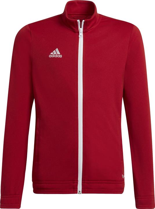 Actual product image adidas Entrada 22 training jacket kids (176)