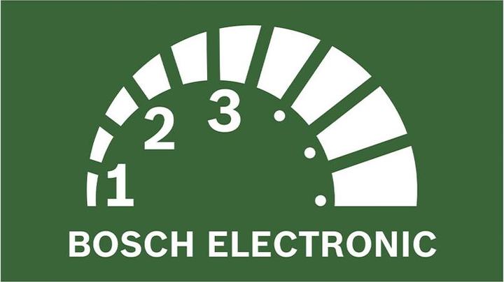 Actual product image Bosch Home & Garden EasyCut 12 (Battery chain saw)