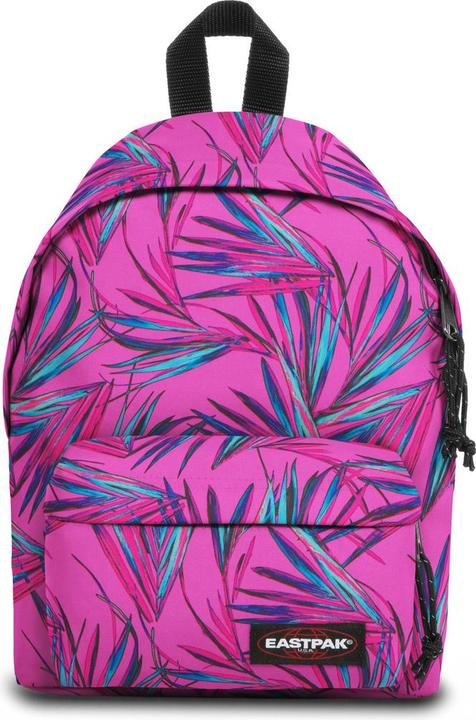 Pink, Palmier, brize