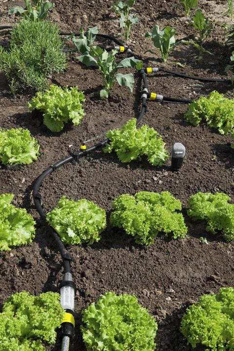 Image du produit Kärcher SensoTimer ST6 eco!ogic (Ordinateur d'irrigation)