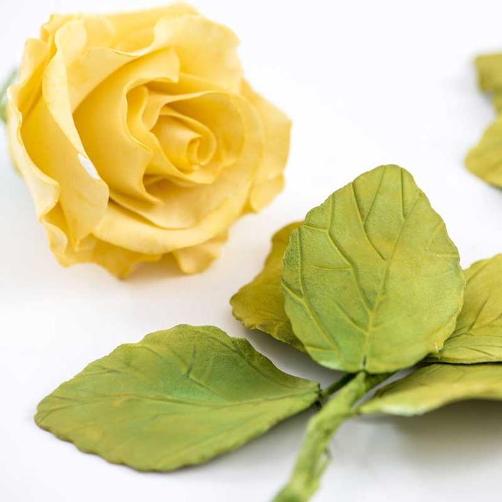 Produktbild Decora Rosen