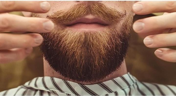 Actual product image Hairgum Barber Beard Oil Mandarin Cedar (40 ml)